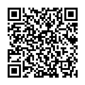 我原本的时候还想着家里面的事情交给两个孩子得了二维码生成
