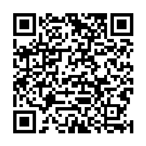 我原来还不明白为什么这时候会出现这么浓郁的生命能量二维码生成