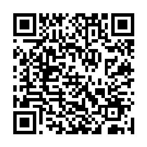 我去到南星大陆的时候大陆上已经没有一丝生命迹象了二维码生成