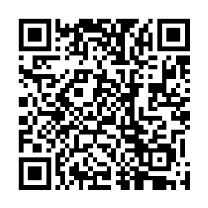 我去看看师父他老人家还有什么需要弟子服侍的事情没有二维码生成
