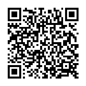 我又不是兽医兽医也不知道怎么医治外太空来的吞噬兽啊二维码生成