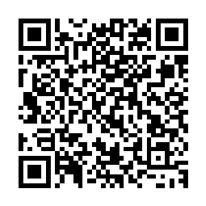 我又不是老师根本不用一边批改一边再思考这个同学为什么会错二维码生成