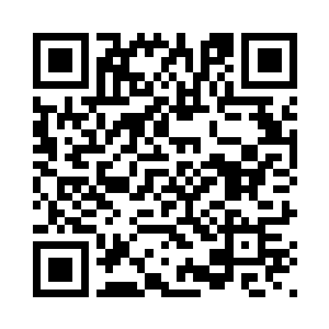 我又了解了一下王涛追彤彤的经过二维码生成