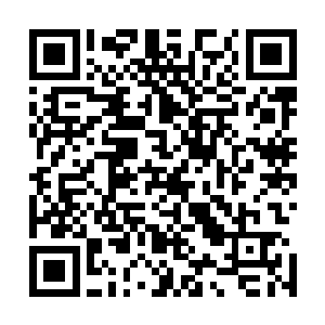 我又何必去浪费时间浪费精力地牵扯进这些不必要的麻烦呢二维码生成