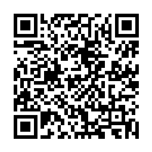 我又何必非挑这么一个只会在关键时刻发挥作用的师弟二维码生成