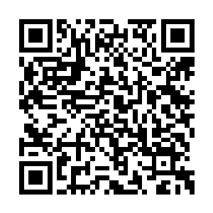 我又如何能够接受这惊喜后忽然带来的一抹怅然二维码生成