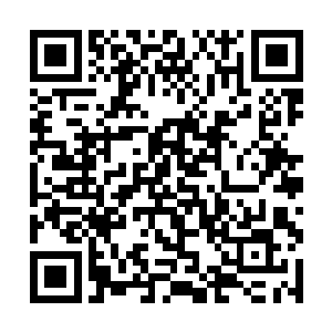 我又把望远镜投向金水园门口到瞭望塔这一段的距离二维码生成