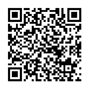 我发现了一个天大的问题――这个须弥界面一直在成长二维码生成