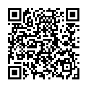 我发现几只蚊子尸体和普通蚊子模样并无什么分别二维码生成