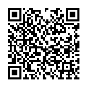我发现攻坚与防御将会是一种非常重要的作战方式二维码生成