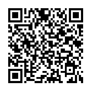 我发现整个壁垒是呈弧形笼罩在我们的头顶上方二维码生成