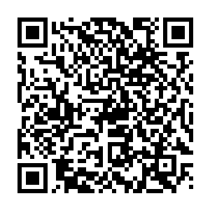 我发现这个河流之中有一些类似人脸的旋窝正在一圈一圈的朝着远处旋转过去二维码生成