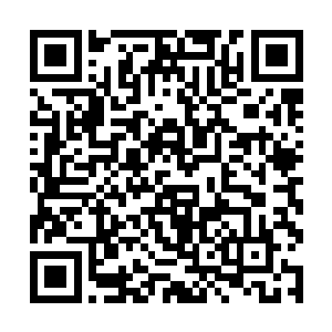 我发现这人熊眼珠子里竟浮现了一丝人类独有的神色二维码生成