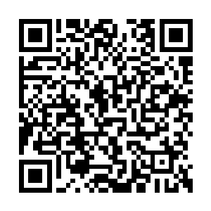 我发现那个自荐班长的马杰也和我是一个宿舍的二维码生成