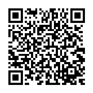 我受玛德利王后和菲利普王子殿下的委托――给你打这通电话二维码生成