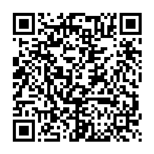 我只不过在自己的车上做了点小小的手脚就让你以为我们要一起下黄泉二维码生成