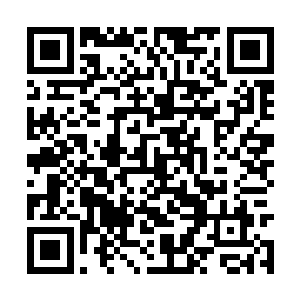 我只不过是一个双手之上充满了鲜血的侩子手罢了二维码生成