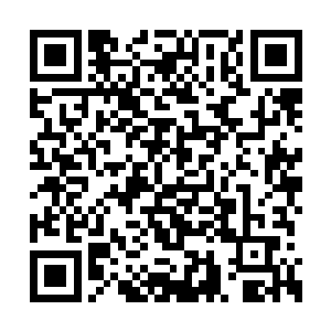 我只不过是想探究亿万年前我们文明起源的奥秘二维码生成
