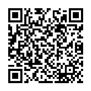 我只不过是想要做你们一直想而却不敢去做的事情二维码生成