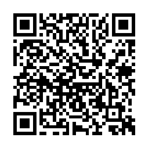 我只不过牺牲了一丁点比盲肠大不了多少的东西二维码生成