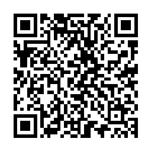 我只希望少校能永远开心快乐我就是为了这个目的才被炼制出来二维码生成