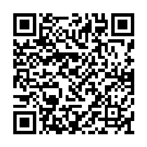 我只是……只是当年偶尔听你爷爷与你父亲谈论二维码生成