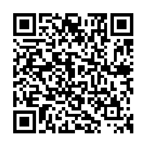 我只是……只是把自己脑子里的一些东西拿出来二维码生成