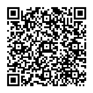 我只是不想你这个家伙欠了我们知行院的女生一堆赌债后一个铜子儿都没还就死在这里二维码生成