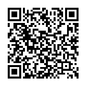 我只是在想……或者你这里有什么我能穿的衣服二维码生成