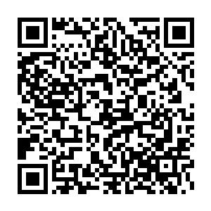我只是在看龙耀会的第一把交椅到底是不是我心里所想的那样三头六臂二维码生成