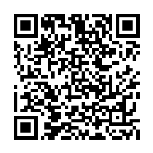 我只是想和你谈谈……可惜你对人类的恨意太深二维码生成