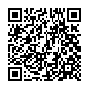 我只是想拍摄出一部让所有的小孩都喜欢的片子二维码生成