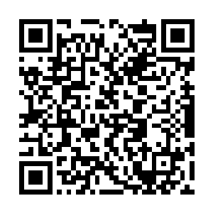 我只是想提醒大人……如果您解放出全部力量的话二维码生成