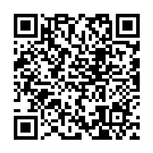 我只是把我心里面最真实的想法原原本本地说出来而已二维码生成