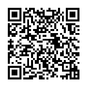 我只是担心小少爷他能不能承受得住长途跋涉……二维码生成