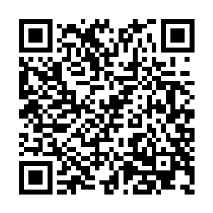 我只是担心小庭……我担心他……他会像我一样二维码生成