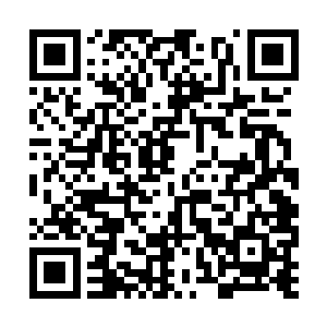 我只是没想到这么重要的宫廷宴会中会出现无角人二维码生成