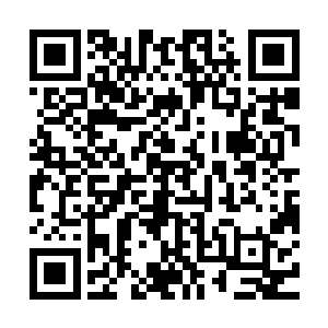 我只是没有办法眼睁睁的看着三天之后发生一场惨绝人寰的屠杀二维码生成
