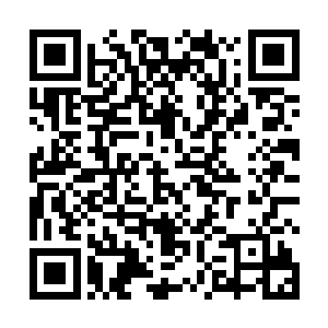 我只是被他们雇佣的马夫……请饶恕我……饶恕我……二维码生成