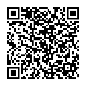 我只是觉得如果你只是因为在蓝岛的不如意而去躲避逃避什么东西二维码生成