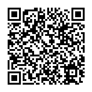 我只能借助你这个不受这个世界规则约束的漏洞者才施展我的力量二维码生成