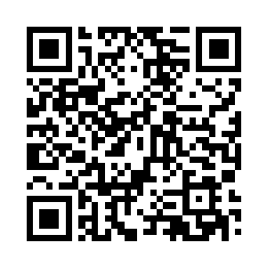 我只能全身心投入到这一份份报表中二维码生成