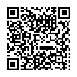 我只能尽可能地照顾好爷爷……其实我真的能照顾好爷爷么二维码生成