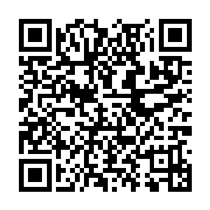 我只能希望每一个点击本书的兄弟都能够支持一下二维码生成