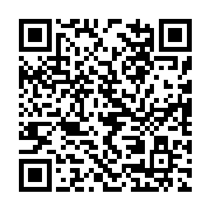 我只能是不忍的把针管再度扎入了老徒弟的虚体上二维码生成