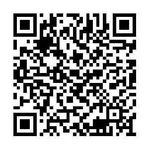 我只能看到他如山一般的背脊微微的摇晃了一下二维码生成