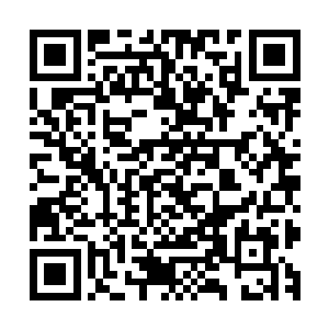 我只能说他们已经掌握了驾驶飞机和利用飞机战斗的基本技巧二维码生成