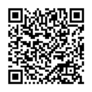我只需成为二郡主的琴师先生这个问题就能解决二维码生成