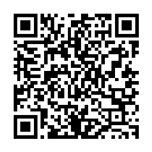我只需要坐在那里等着病人上门让我来增加熟练度就可以了……二维码生成