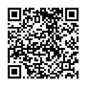 我可不信墨玄哥还会让如此美人逃脱了我们家的家门二维码生成